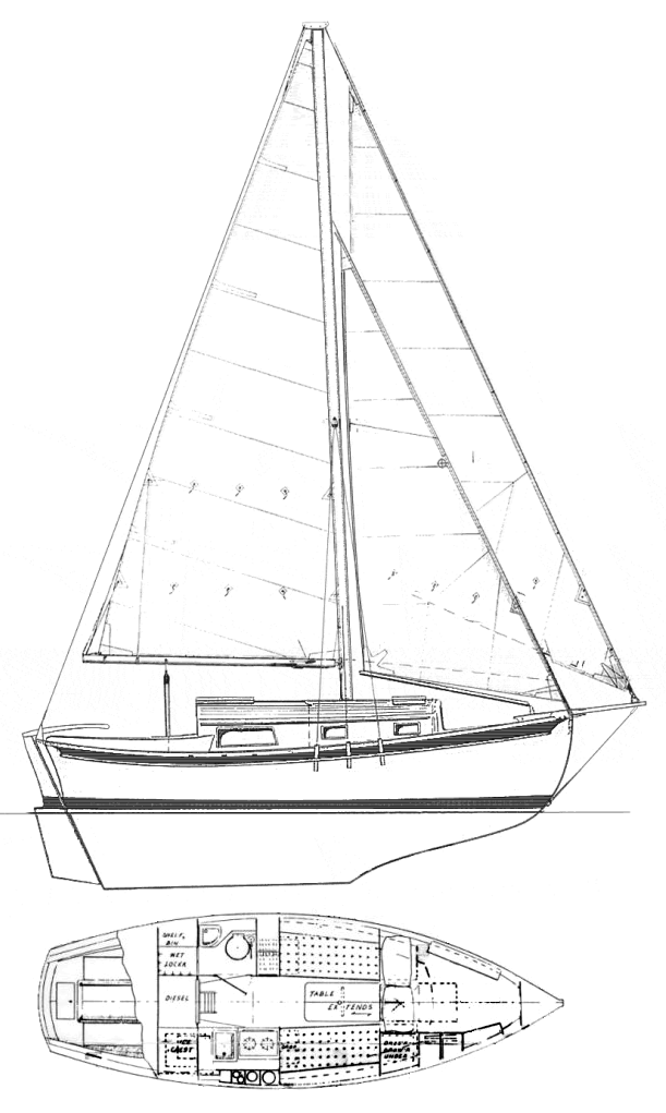 ALLEGRA 24 - Drawing