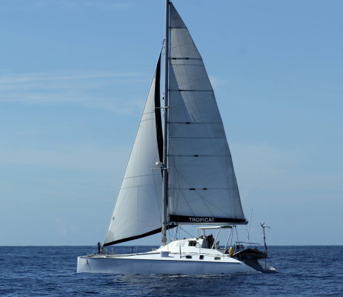 CATANA 40