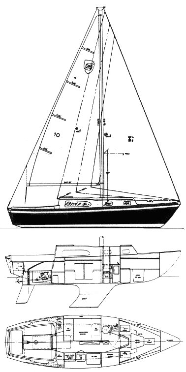 COLUMBIA 28 - Drawing