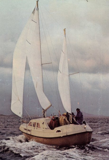 VIKSUND 31 GOLDFISH MS