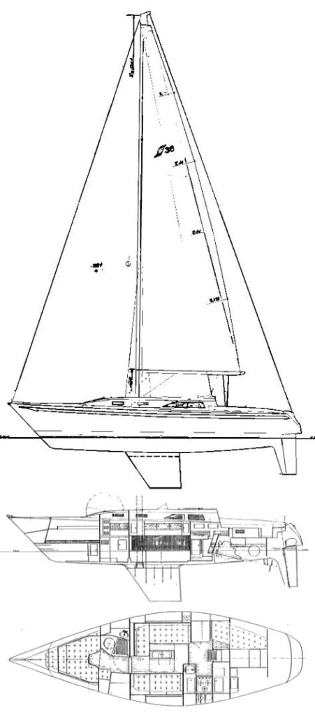 SCEPTRE 36