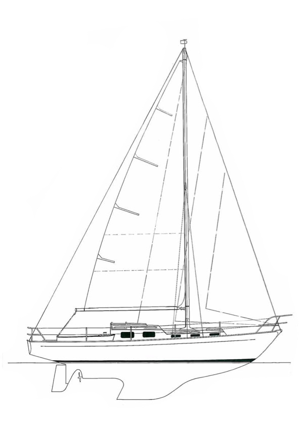 TRINTELLA IIA - Drawing