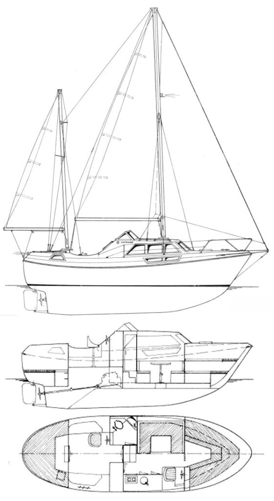VIKSUND 31 GOLDFISH MS - Drawing