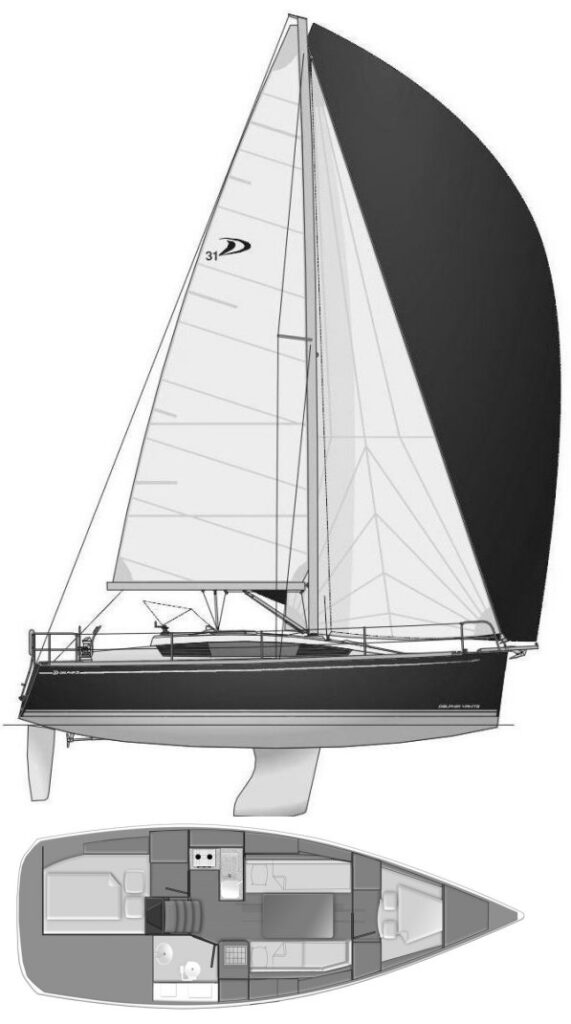 DELPHIA 31 - Drawing