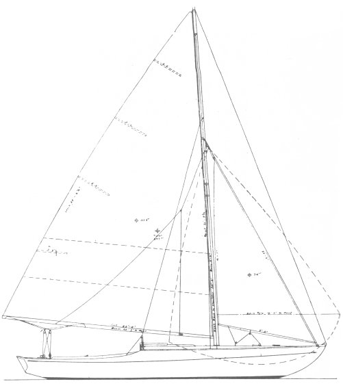 BIRD (SF BAY) - Drawing