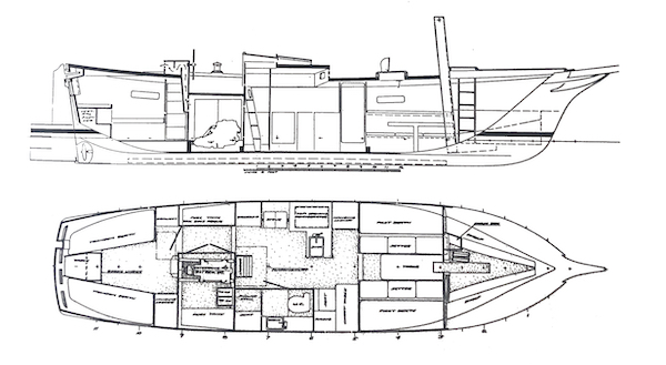 BIRD OF DAWNING - Drawing