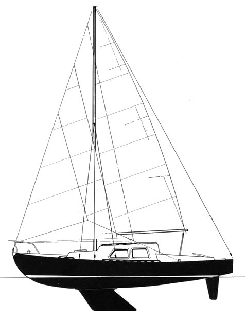 SUPER DORADE (SERGENT) - Drawing