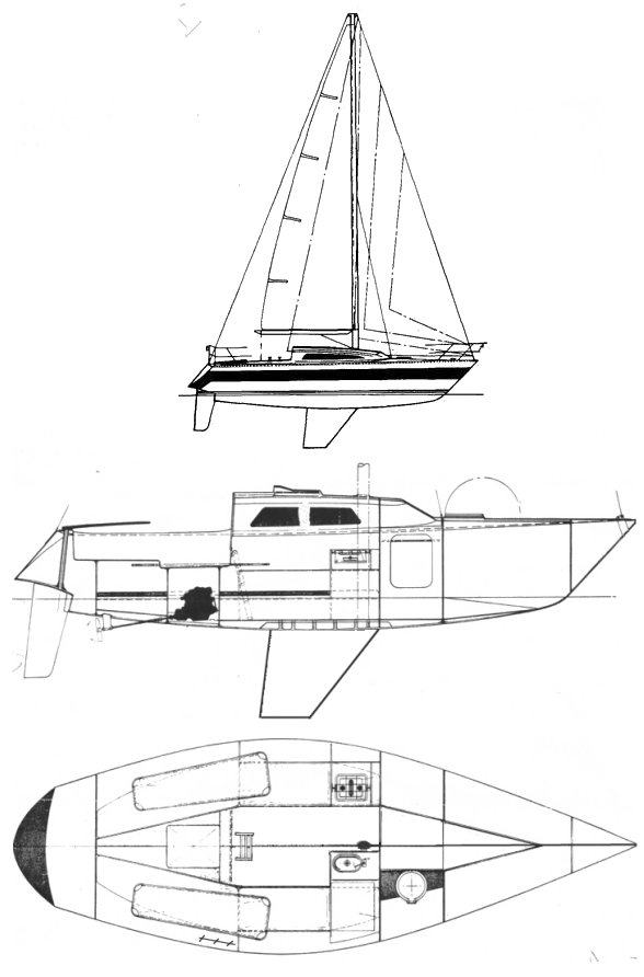 CONTENTION 30 (PETERSON)