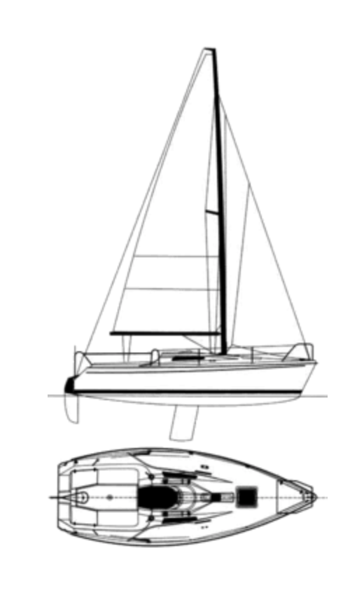 SPORTINA 682 - Drawing