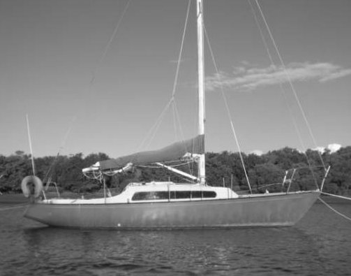 CONTESSA 25 (COLE)