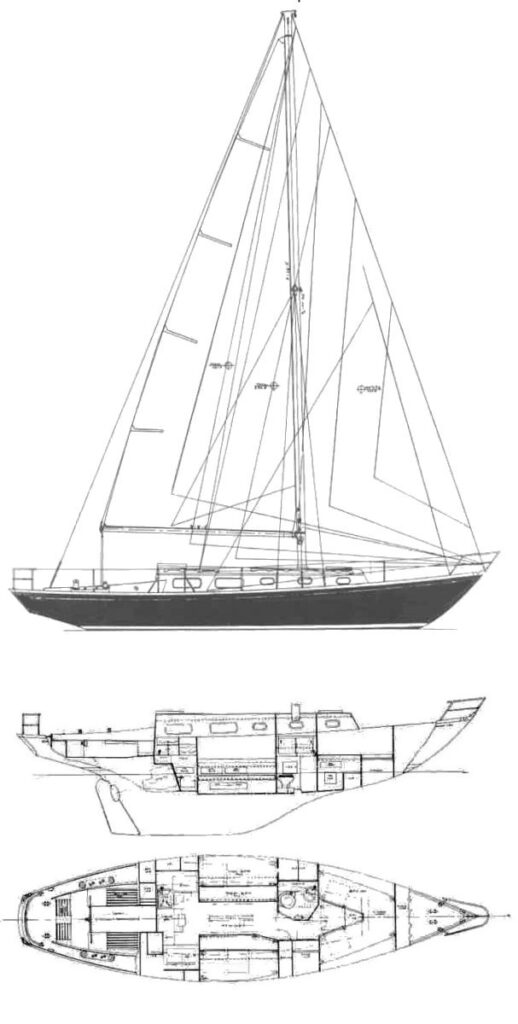 BLACK WATCH 37 - Drawing