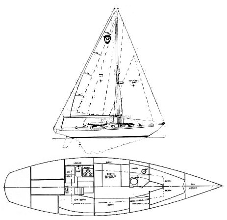 COLUMBIA 38 - Drawing