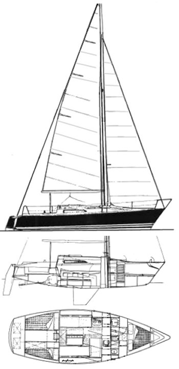 ALBATROS 950 - Drawing