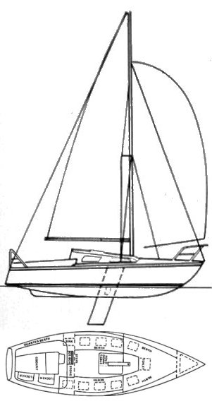 AUSTRAL 24 - Drawing