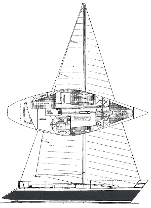 CANADOS 37 - Drawing
