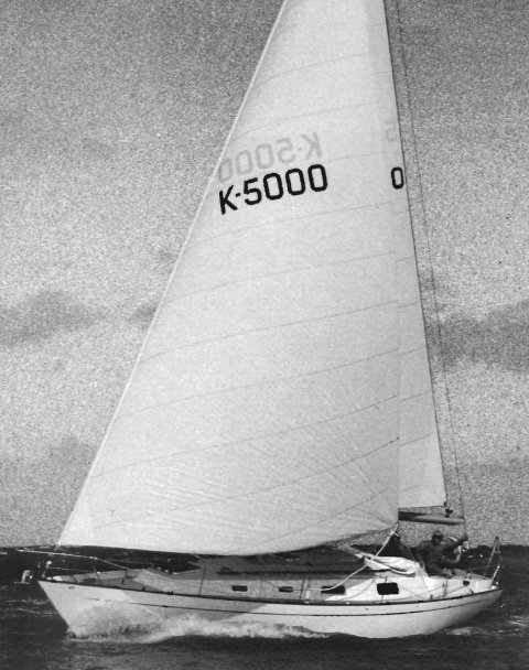 CONTESSA 38 (ALAN-WILLIAMS)