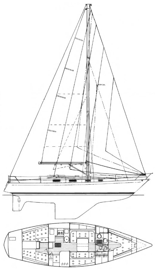 CONTESSA 38 (ALAN-WILLIAMS) - Drawing