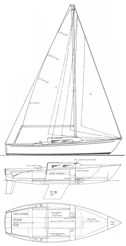 SANTANA 22 - Drawing