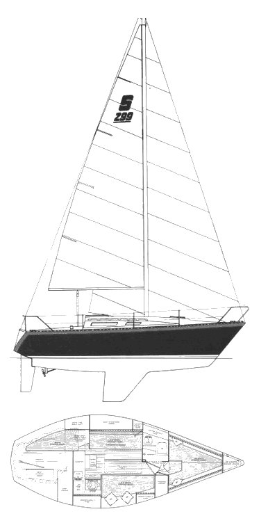 SEIDELMANN 299 - Drawing