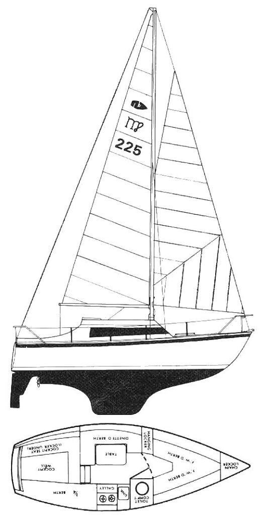 VIRGO VOYAGER - Drawing