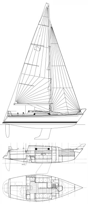 WINNER 9.50 - Drawing