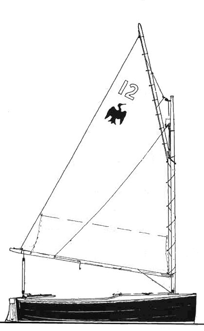 CORMORANT 12 - Drawing