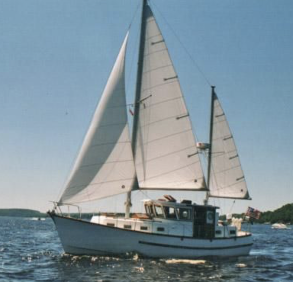 COMFORT 38 MS (MONK SR.)