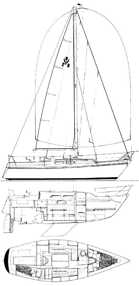 CONTEST 28 - Drawing