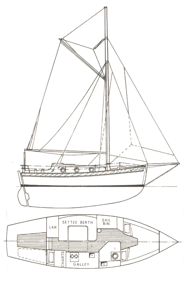 TAMARISK 29 - Drawing
