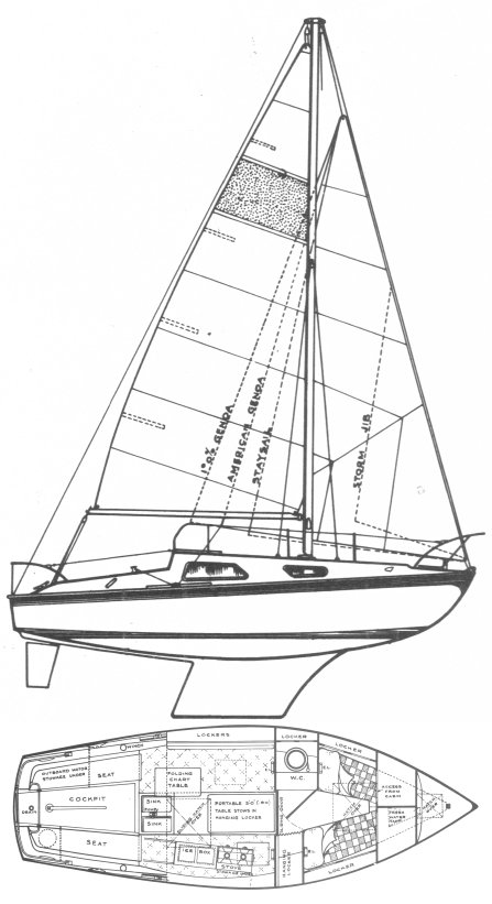 VIVACITY 21 - Drawing