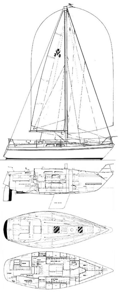 CONTEST 30 - Drawing