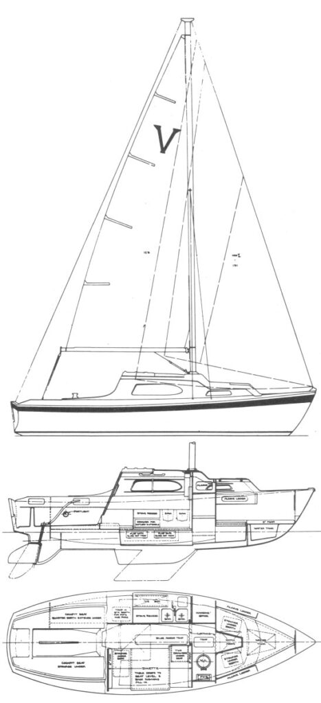 VIVACITY 24 - Drawing