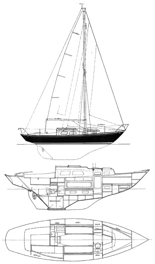 ARIETTA 31 - Drawing