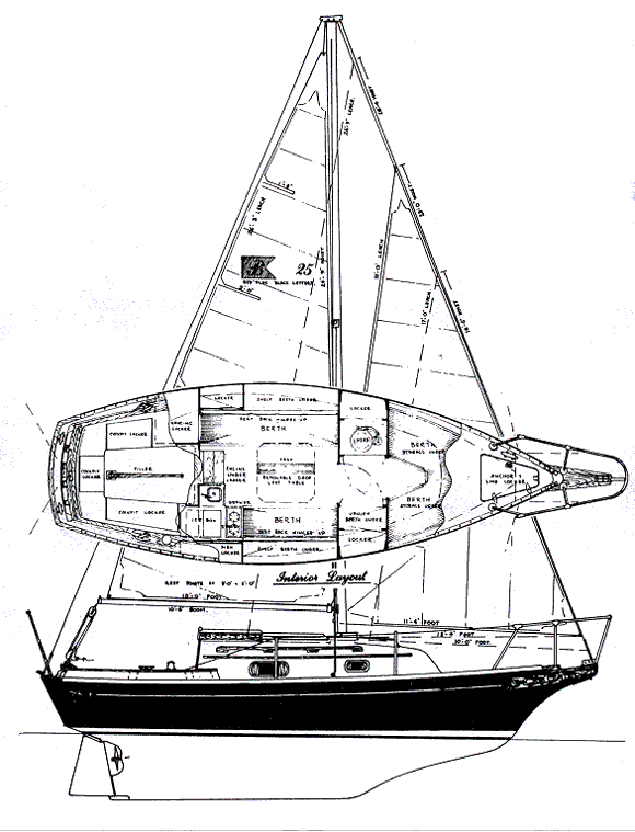 BAYFIELD 25 - Drawing