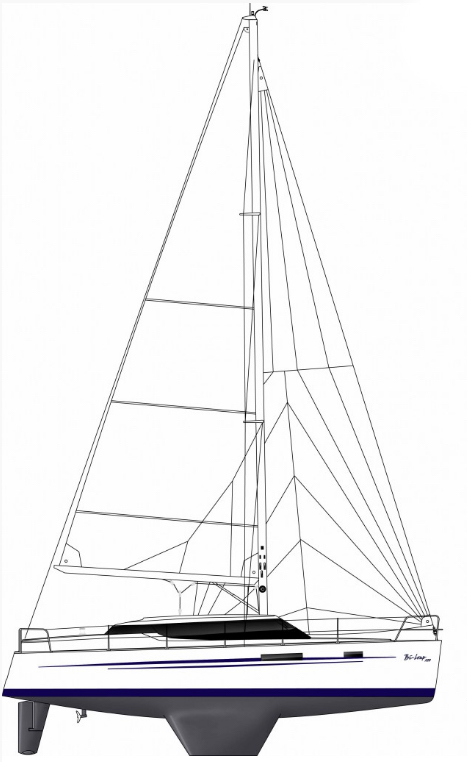 WRIGHTON 36 - Drawing