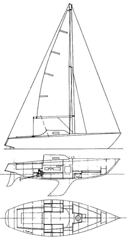 ARLECCHINO 1/4 TON - Drawing