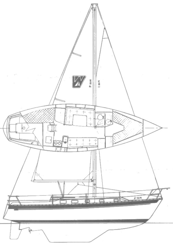 WATKINS 33 - Drawing