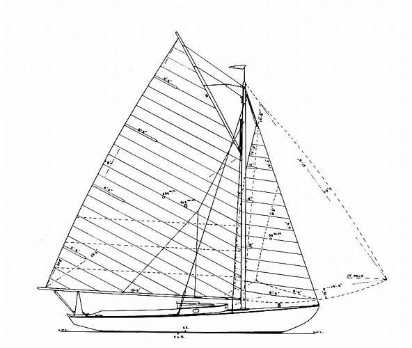 WIANNO SENIOR - Drawing