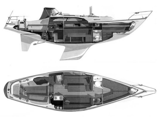 COMMANDER 31 (BIANCA) - Drawing