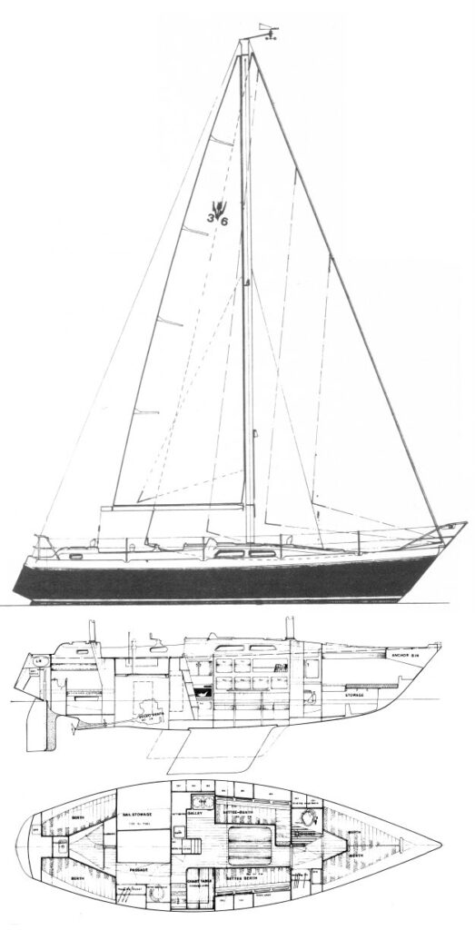 CONTEST 36 - Drawing