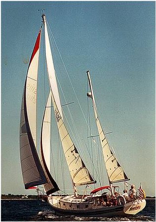 BAYFIELD 40