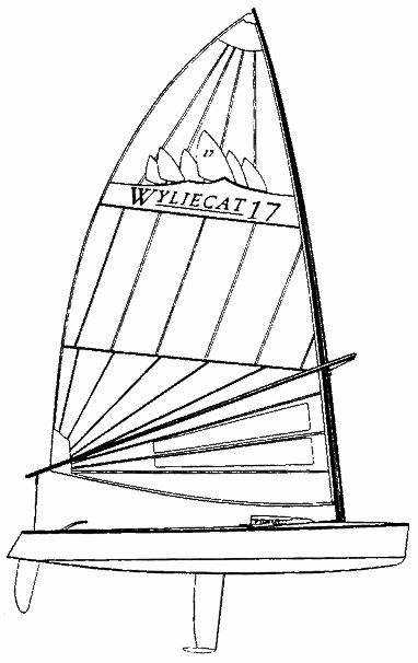 WYLIECAT 17 - Drawing