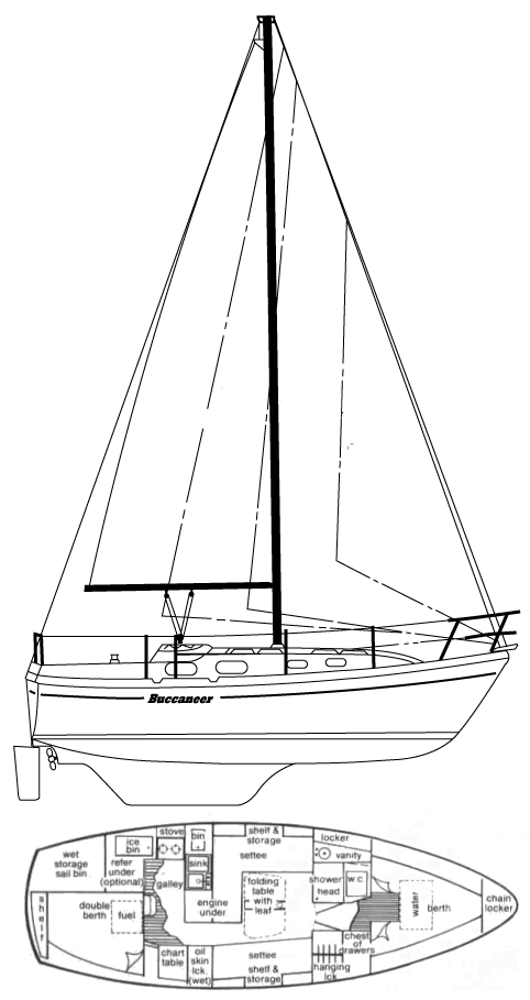 BUCCANEER 305 - Drawing