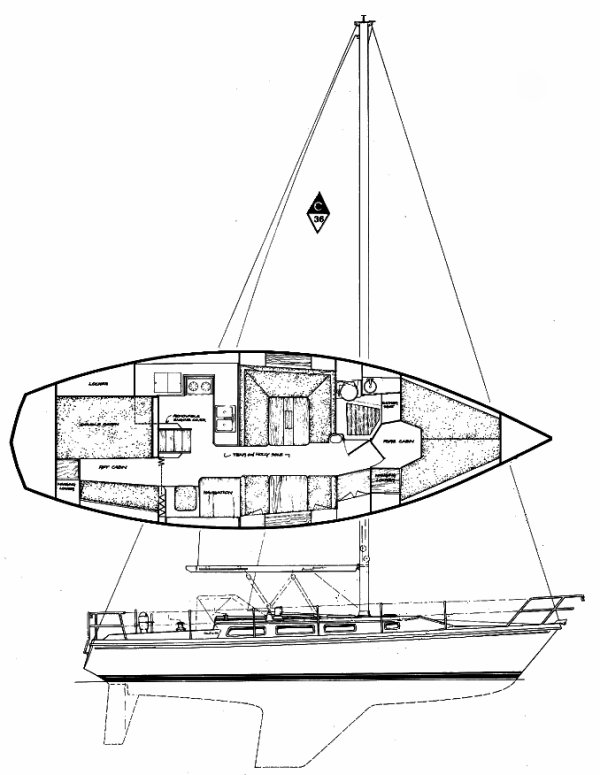 CATALINA 36 - Drawing