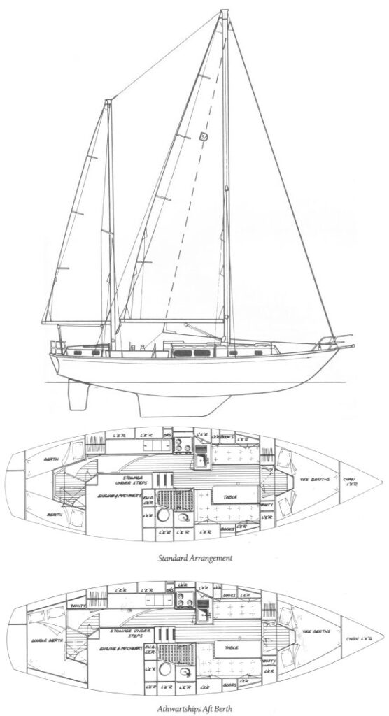 DICKERSON 37 CC - Drawing