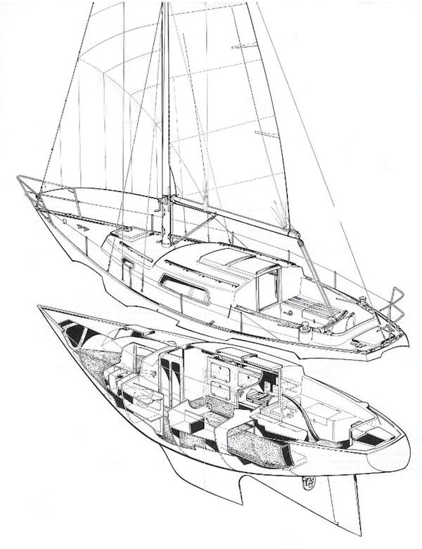 VICTORIAN 27 - Drawing