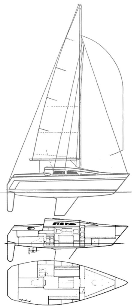 APHRODITE 25 - Drawing