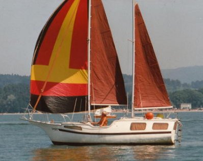 BUCKLER 24 MS