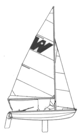 WILDFLOWER - Drawing