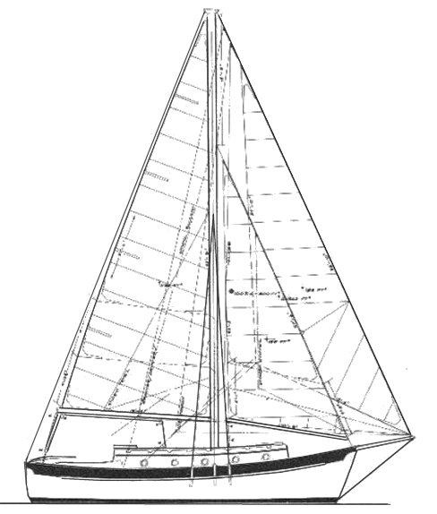 WILLARD 30/8T - Drawing